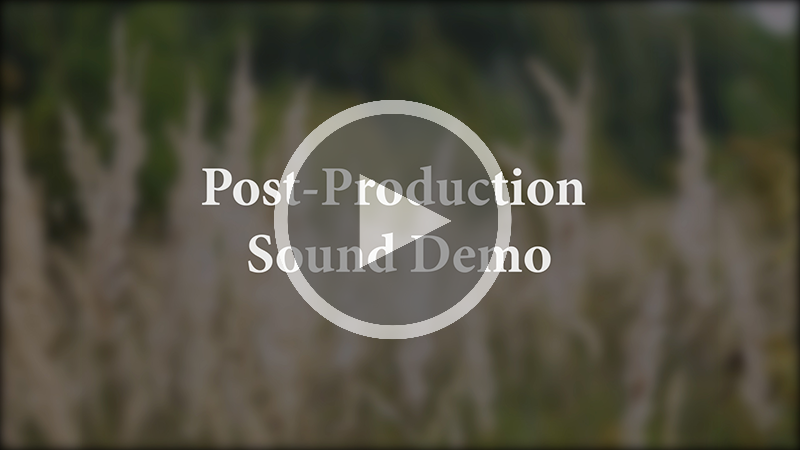 A screenshot of the thumbnail of the video that says 'Post-Production Sound Demo'.