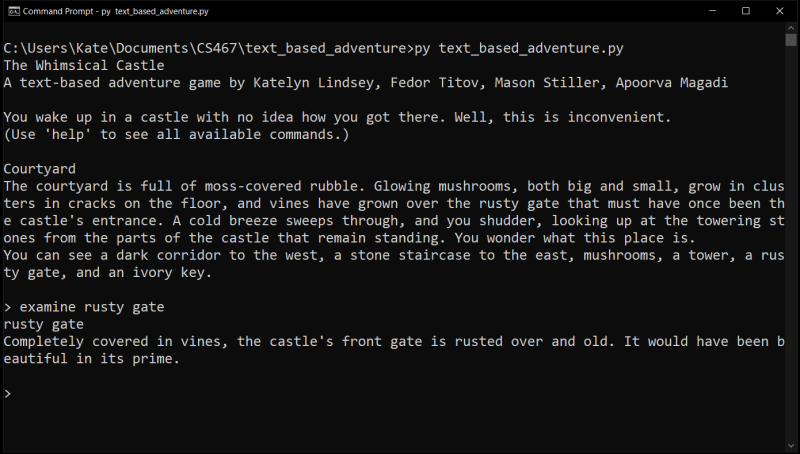 A screenshot of the command line with the text-based adventure game running.